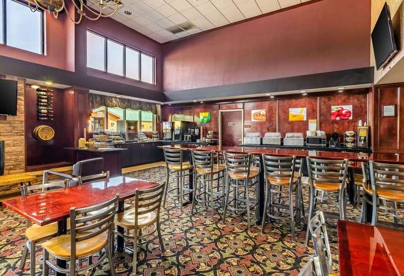 酒店 Quality Inn & Suites