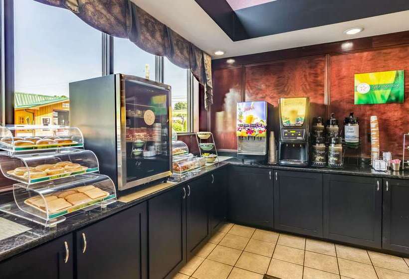 酒店 Quality Inn & Suites