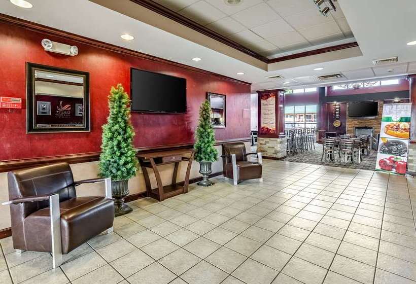 酒店 Quality Inn & Suites