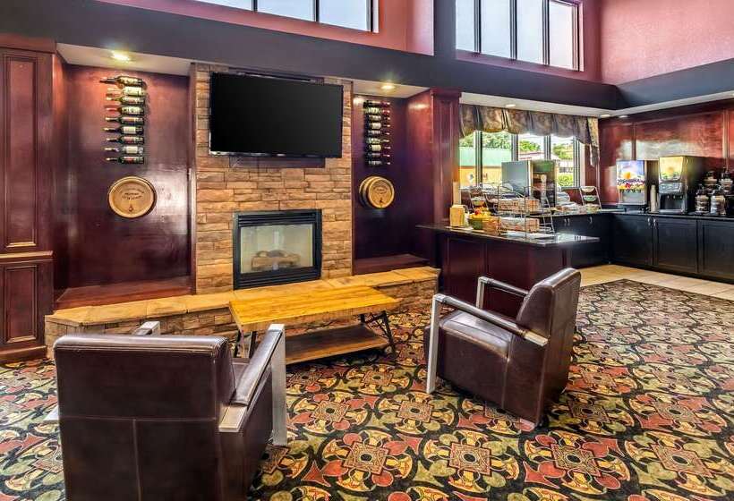 酒店 Quality Inn & Suites