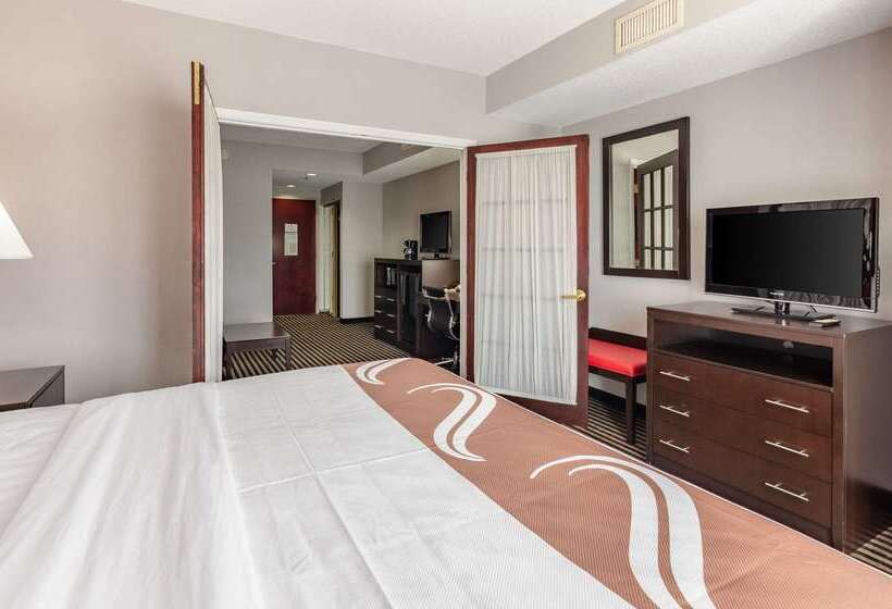 酒店 Quality Inn & Suites