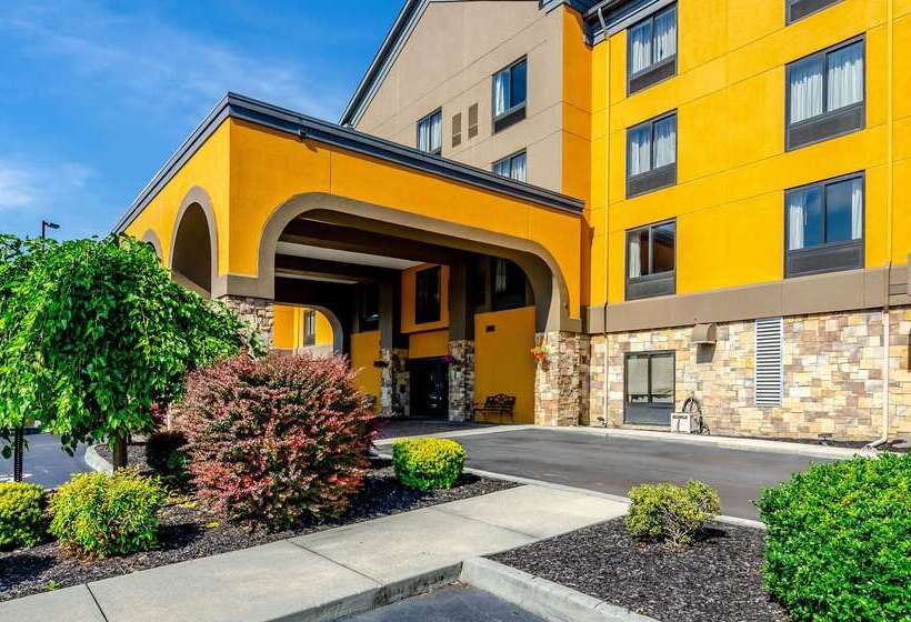 酒店 Quality Inn & Suites