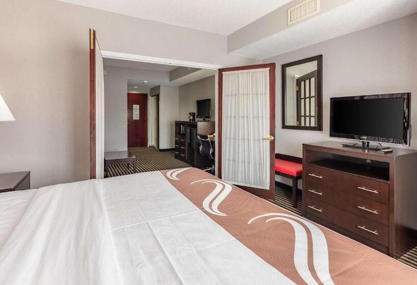 酒店 Quality Inn & Suites