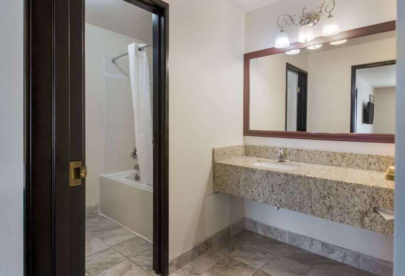 בית מלון כפרי Quality Inn & Suites Airport West