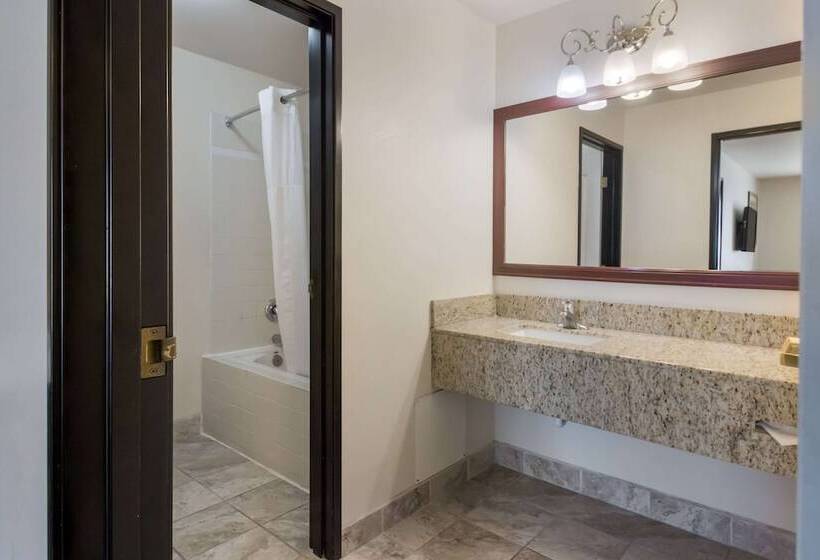 בית מלון כפרי Quality Inn & Suites Airport West