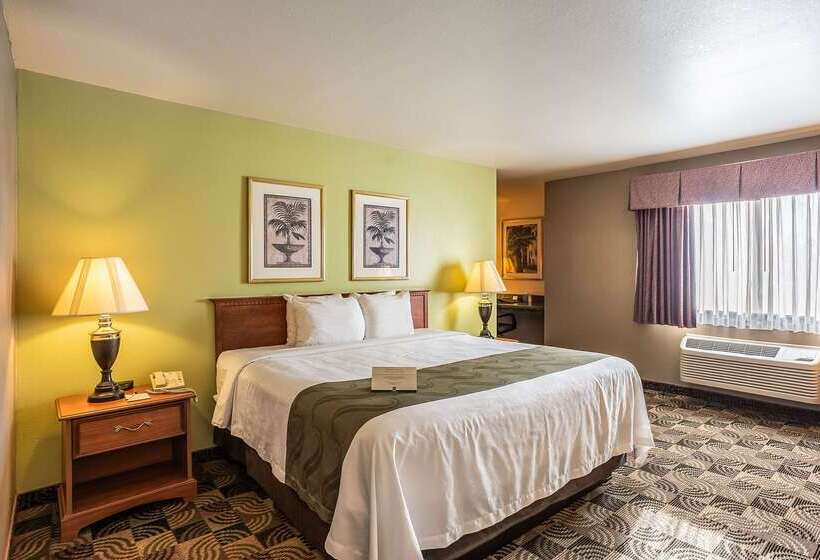 ホテル Quality Inn & Suites