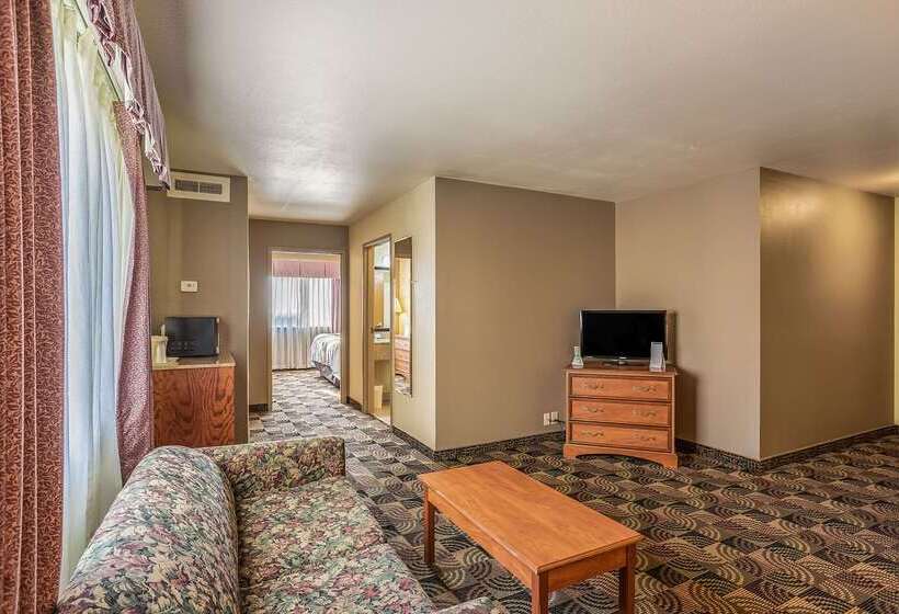 ホテル Quality Inn & Suites