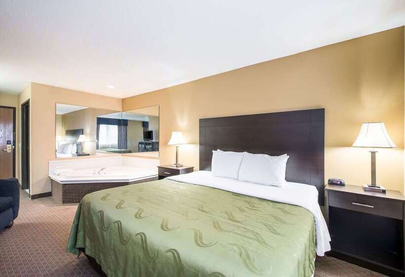 Отель Quality Inn & Suites