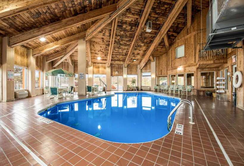 فندق Quality Inn & Suites