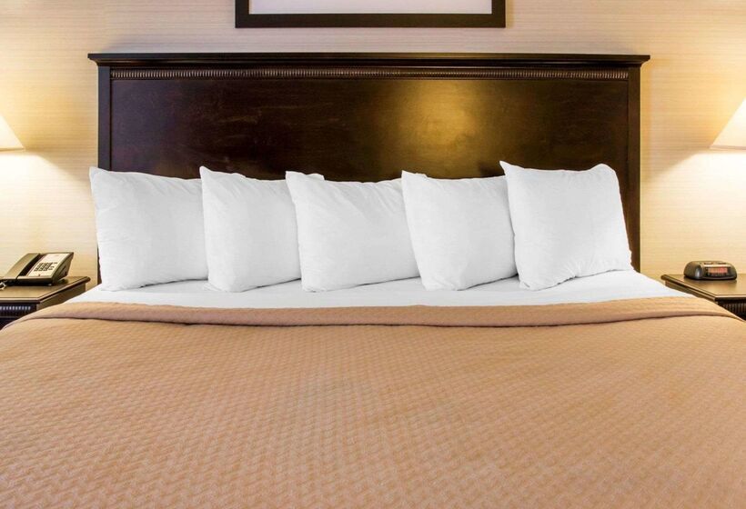 فندق Quality Inn & Suites Next To The Casino