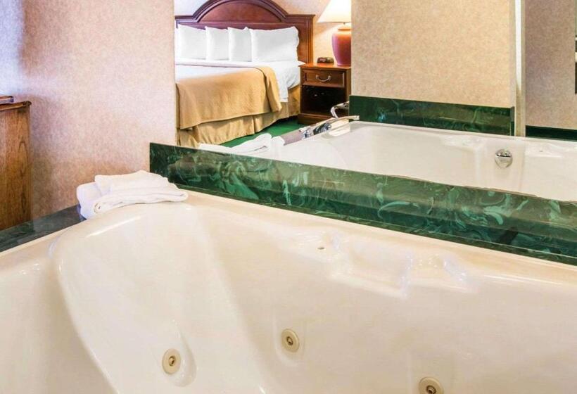 فندق Quality Inn & Suites Next To The Casino