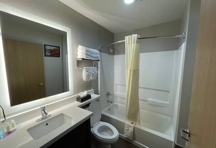 酒店 Quality Inn & Suites North Mesquite I30