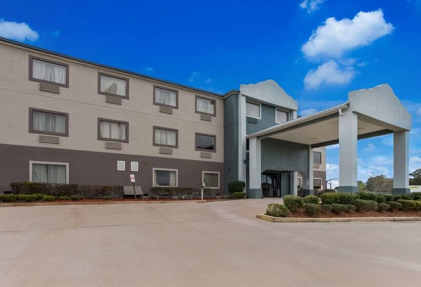 فندق Quality Inn & Suites Pearl Jackson