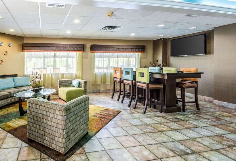 فندق Quality Inn & Suites