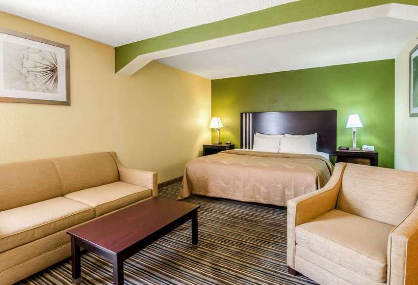 فندق Quality Inn & Suites