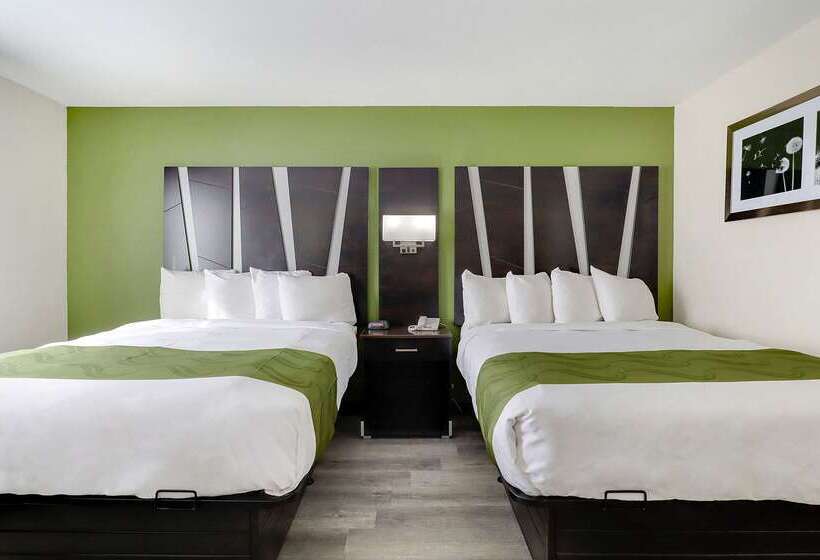 ホテル Quality Suites Albuquerque Airport