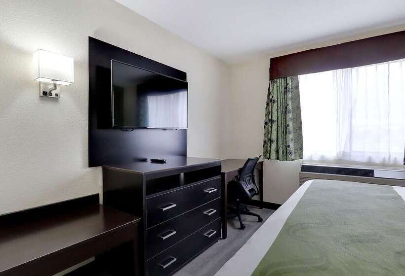 ホテル Quality Suites Albuquerque Airport