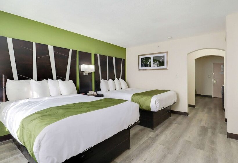 ホテル Quality Suites Albuquerque Airport