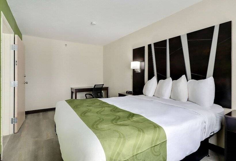 ホテル Quality Suites Albuquerque Airport