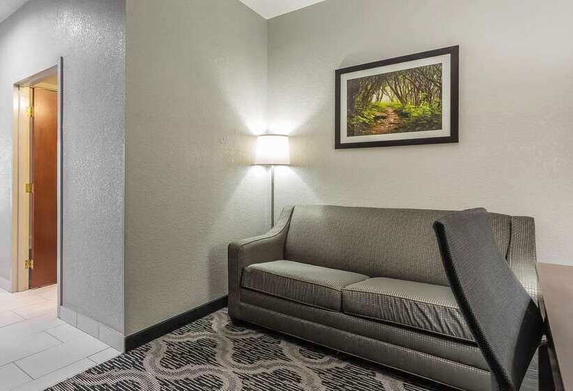 ホテル Quality Suites Pineville  Charlotte