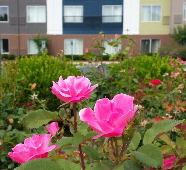 ホテル Quality Suites Pineville  Charlotte