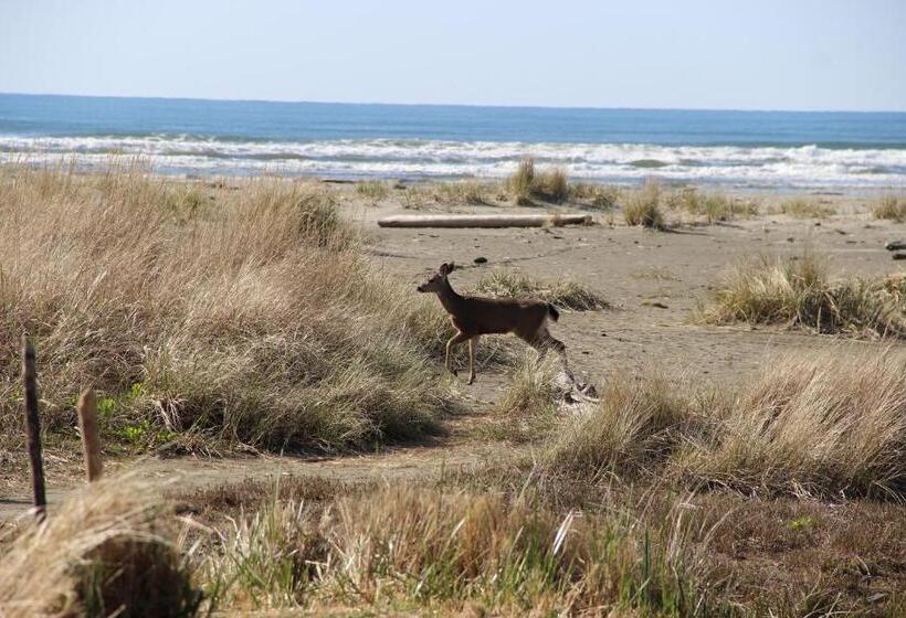 فندق Quinault Beach Resort & Casino
