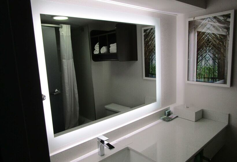 酒店 Best Western Shackleford