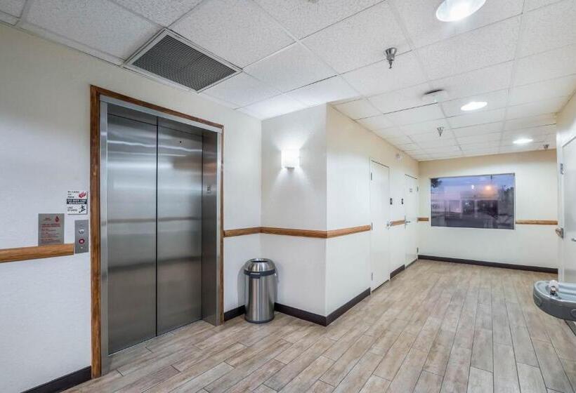 فندق Red Roof Inn Ocala