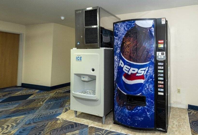 ホテル Red Roof Inn St Robert  Ft Leonard Wood