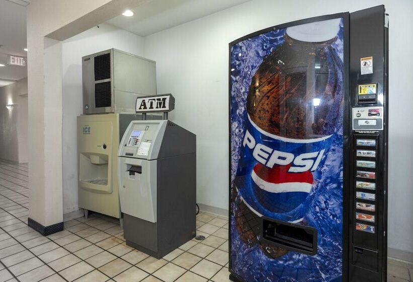 ホテル Red Roof Inn St Robert  Ft Leonard Wood