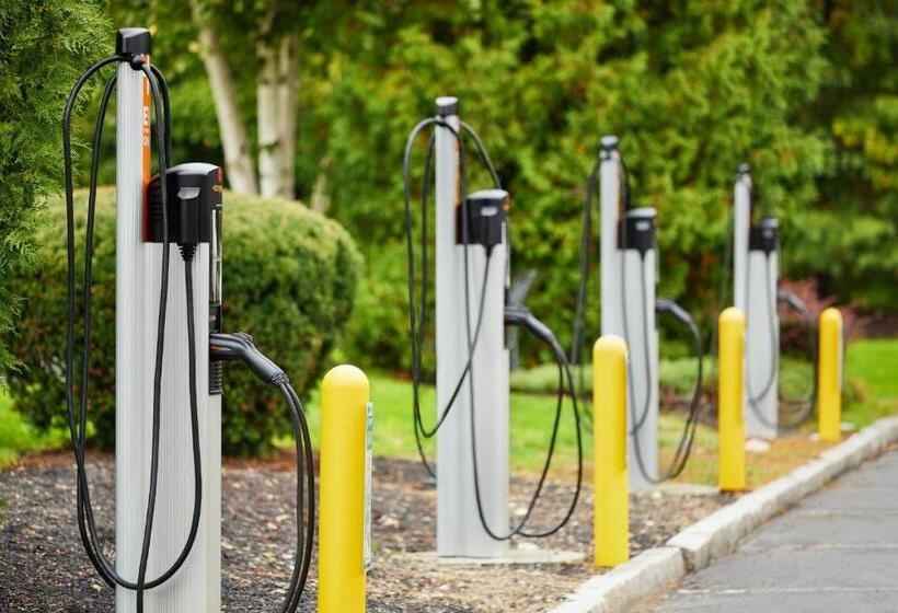 فندق Residence Inn Boston Westford