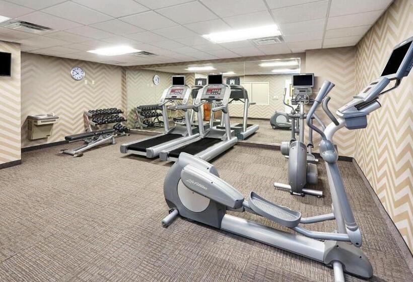 ホテル Residence Inn By Marriott Chicago Schaumburg/woodfield Mall