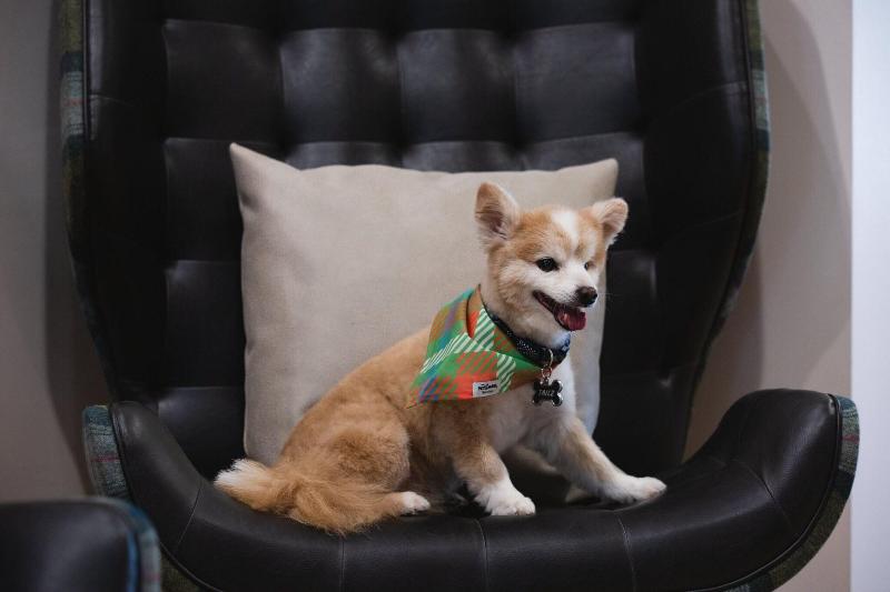 酒店 Residence Inn Fort Worth Cultural District