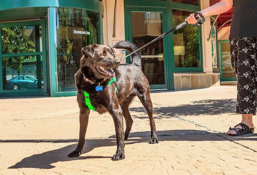 酒店 Residence Inn New Rochelle