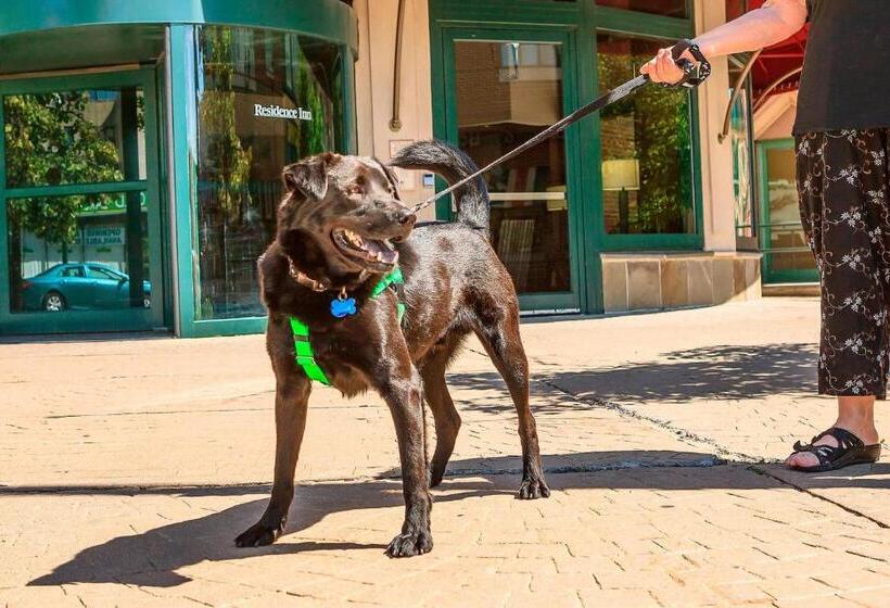 酒店 Residence Inn New Rochelle