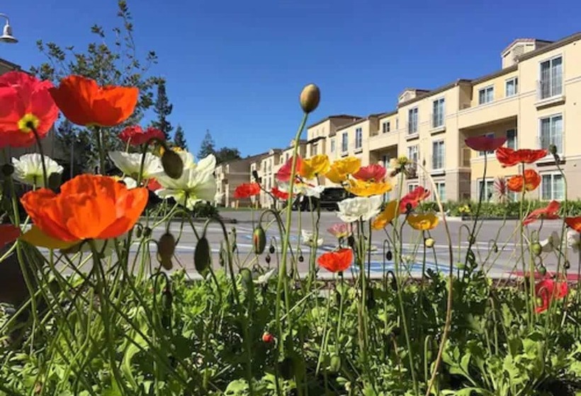 فندق Residence Inn Palo Alto Los Altos