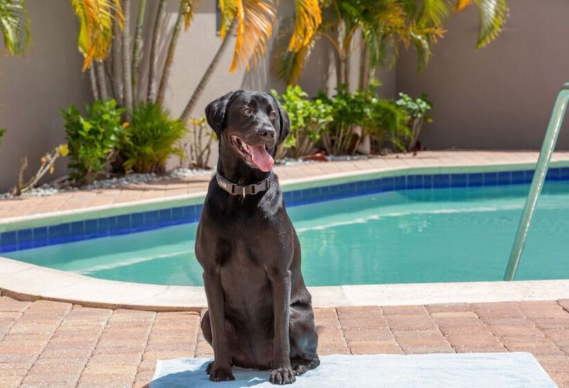 فندق Residence Inn Tampa Oldsmar