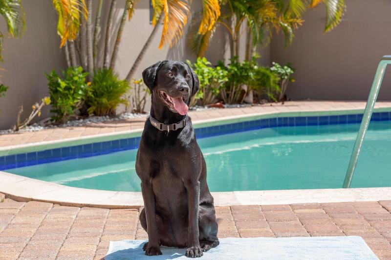 فندق Residence Inn Tampa Oldsmar