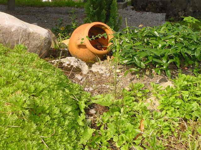 בית מלון כפרי Restaurant Belvedere