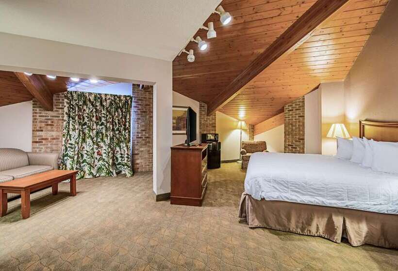 فندق Rodeway Inn