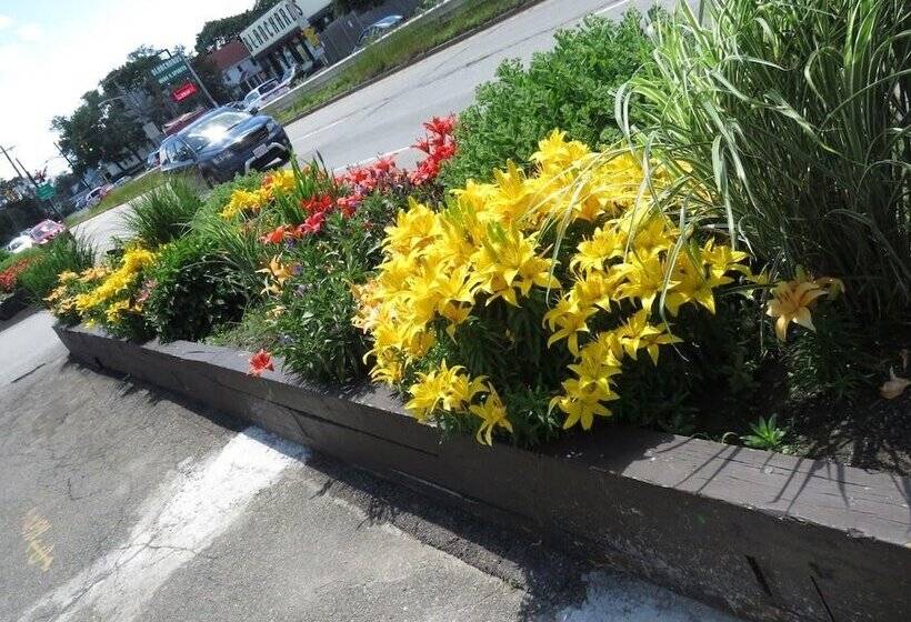 فندق Rodeway Inn Logan International Airport