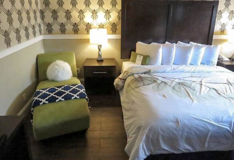 فندق Rodeway Inn Logan International Airport