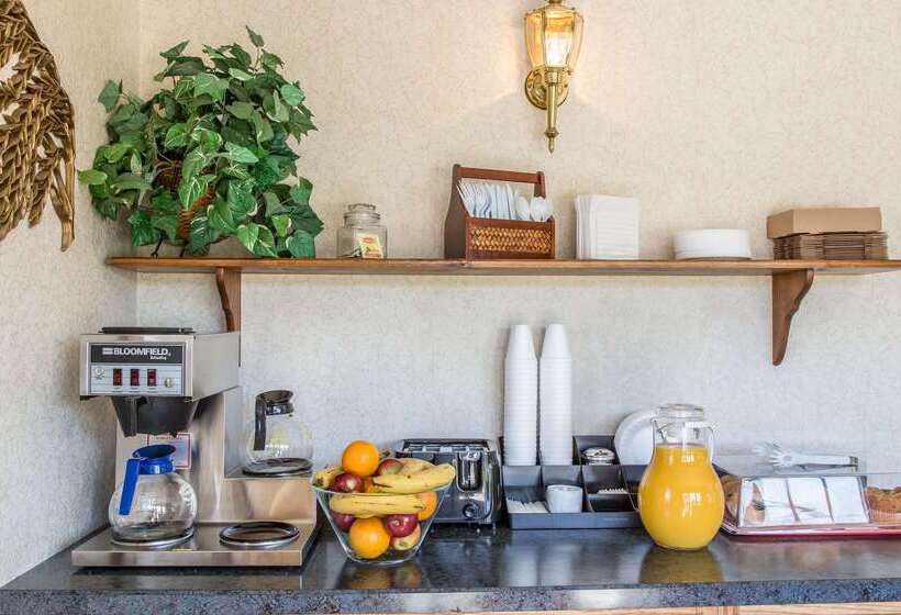 酒店 Rodeway Inn Waterford  New London