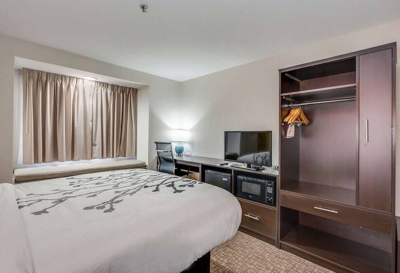 فندق Sleep Inn & Suites