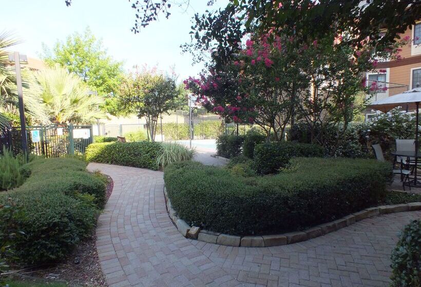 ホテル Sonesta Es Suites Dallas  Las Colinas