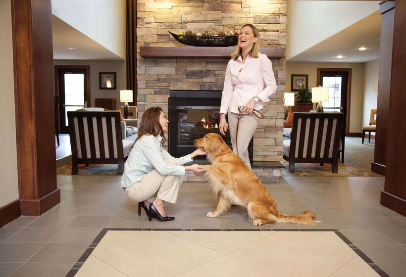 ホテル Sonesta Es Suites Dallas  Las Colinas