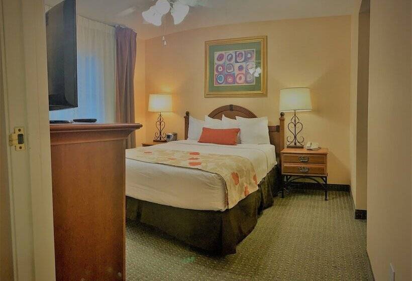فندق Sonesta Es Suites Dallas Park Central