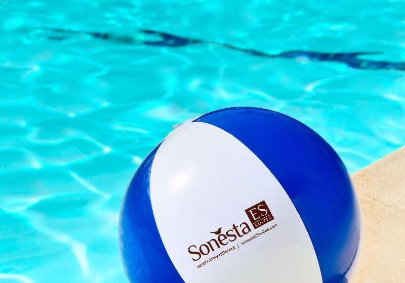 فندق Sonesta Es Suites Houston Galleria