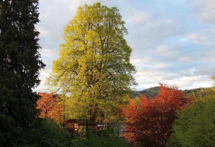 酒店 & Spezialitatenrestaurant Zur Linde