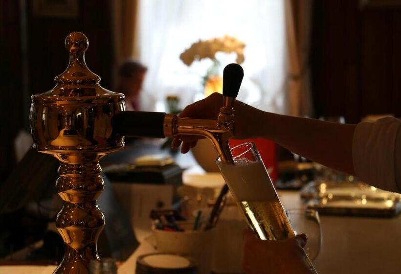 酒店 & Spezialitatenrestaurant Zur Linde